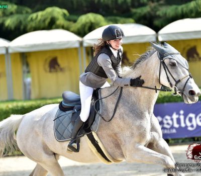 02301b_016fdf651c434941a85b38e10de037d8~mv2