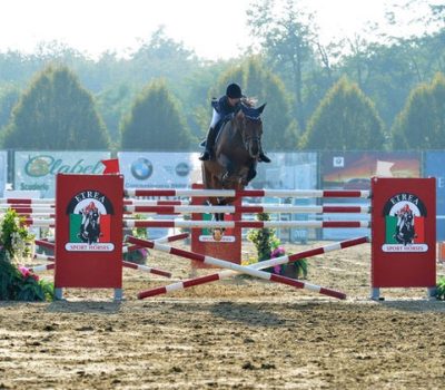 02301b_05c82f1ed5754fd78a80f5bc625a36b9~mv2