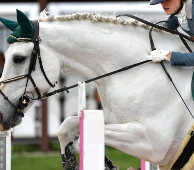 02301b_4429c2c00bfe43cd9a83cb05ecf678e3~mv2