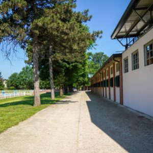 02301b_dae16579e4214465a663e61c3213c944~mv2