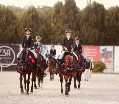 02301b_ed18b014de5943f689409258c7e4a6e1~mv2